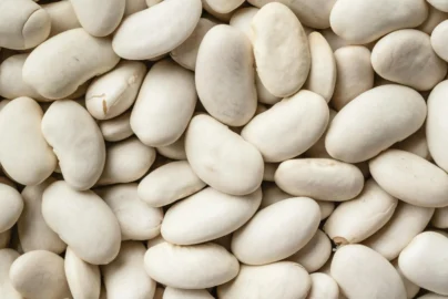 Why Lima Beans Are a Must-Have for Your Kitchen and Garden