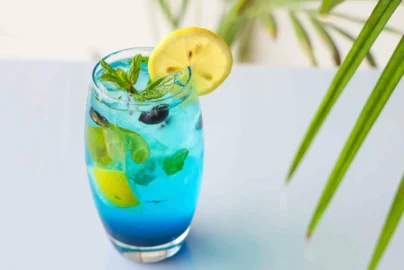 Xylitol Mints-The Sugar Free Solution for Fresh Breath