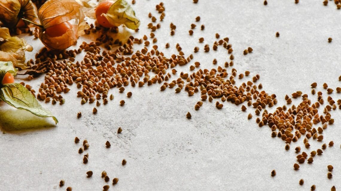 Cbum Protein-Benefits of the Elite Muscle-Building Supplement