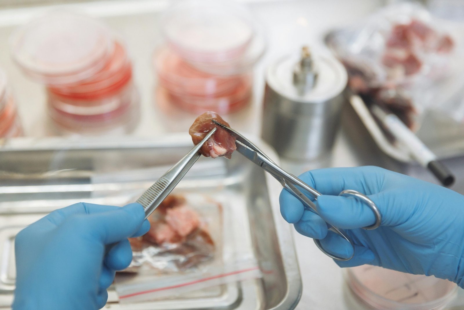 Florida Bans Lab Grown Meat- What You Need to Know - fitness today