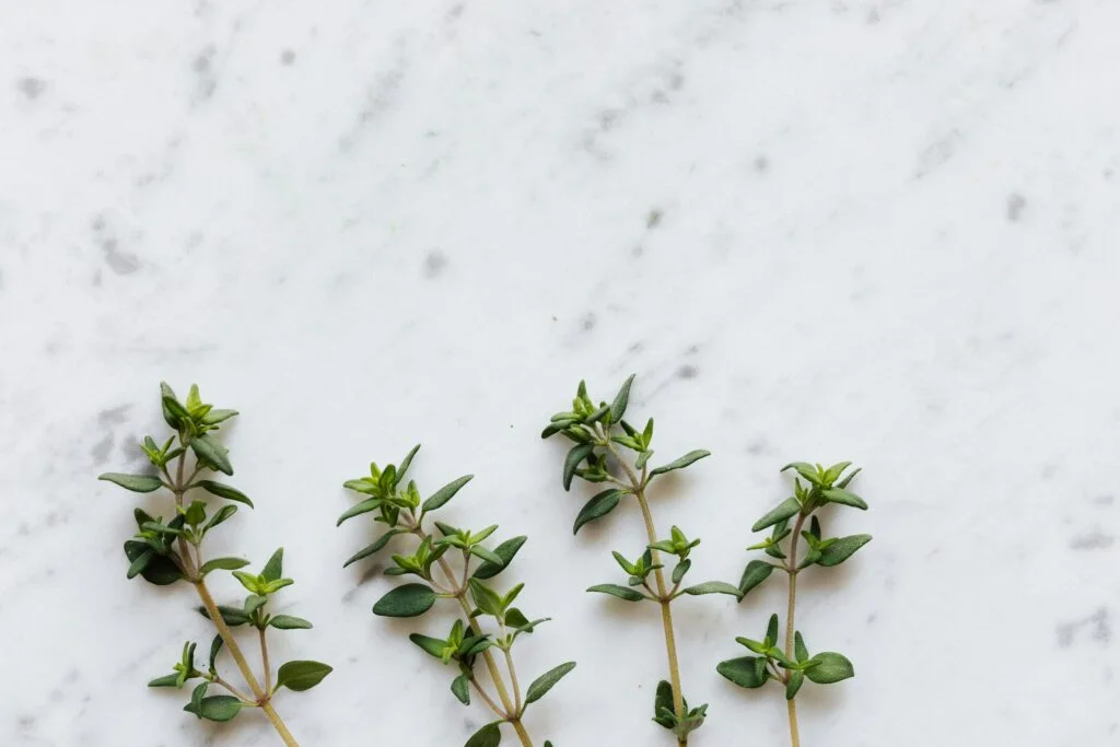 Fresh thyme is more than just a herb—it’s a natural remedy for immunity, digestion, and skin health. Find out why it’s a must-have in your kitchen.