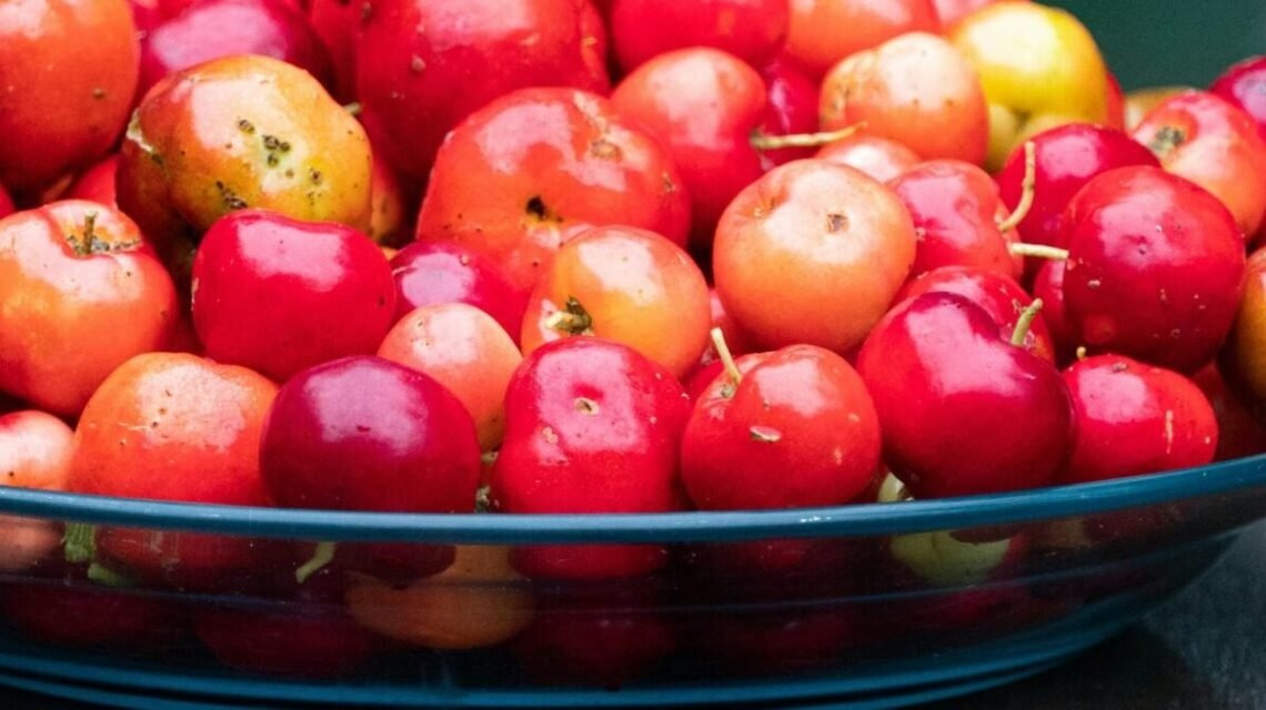 Acerola Cherry Vitamin C-17x Stronger Than Oranges? Benefits & Risks