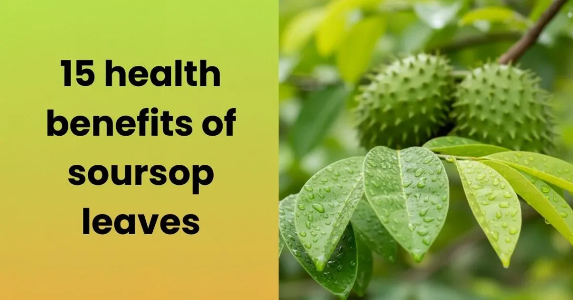 15 health benefits of soursop leaves