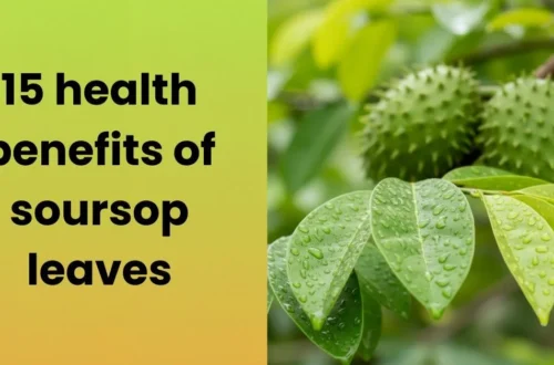 15 health benefits of soursop leaves