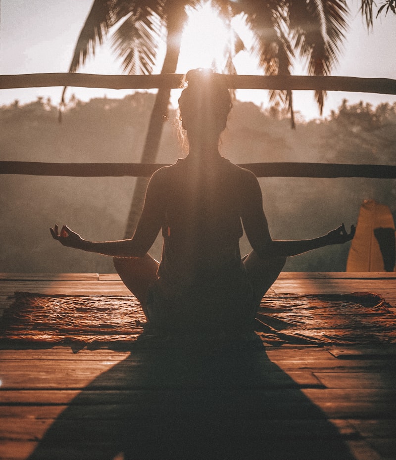 Related Visual - Essential Hatha Yoga Poses for Beginners: Your First Steps to a Mindful Practice